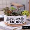 Message in a Planter - 6" Round