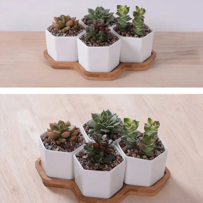 Beehive Planter