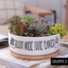 Message in a Planter - 6" Round