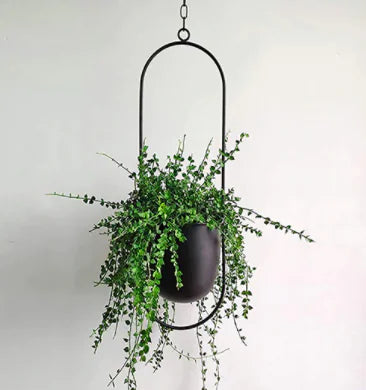 Decorative Hanging Planter