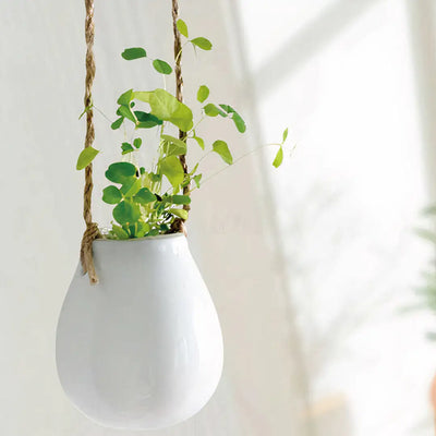 Swing Planter