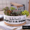 Message in a Planter - 6" Round