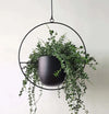 Decorative Hanging Planter