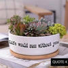 Message in a Planter - 6" Round