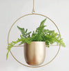 Decorative Hanging Planter